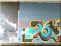 SE3118 : Horbury Underpass of Graffiti by Phillip De-Vere