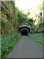 SK1871 : East portal of Headstone Tunnel on the Monsal Trail by David Smith