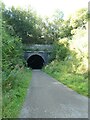 SK1273 : Eastern portal of Chee Tor Tunnel on Monsal Trail by David Smith