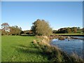 NY3643 : The River Caldew near Crookholme Mill by Adrian Taylor