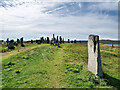 NB2133 : The Callanish Stones (Tursachan Chalanais) by David Dixon