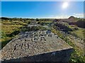 TM4766 : World War II graffiti, anti-tank obstacles, Minsmere by Helena Hilton