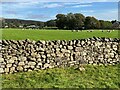 SD6376 : Blocked stile near Hagg Brow by Adrian Taylor