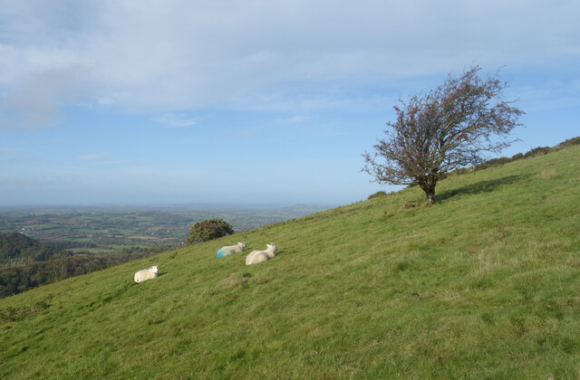 Hillside View, Table Hill