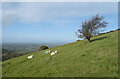 SO7646 : Hillside View, Table Hill by Des Blenkinsopp