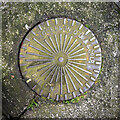 O1633 : Coal hole cover, Dublin by Rossographer