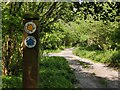 SO5291 : Public bridleway at Coats Wood by Mat Fascione