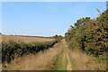 TL5252 : The Roman Road near Worsted Lodge by Chris Heaton