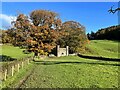 SD3098 : The Cumbria Way near Monk Coniston Kennel by Adrian Taylor