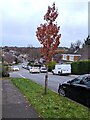 ST3090 : Mid November 2023 colours, Rowan Way, Malpas, Newport by Jaggery