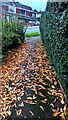 ST3090 : Fallen leaves on a Malpas corner, Newport by Jaggery