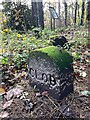 SK2491 : Old Dale Dyke Dam marker stone by Graham Hogg