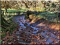 SD3198 : Bridleway near Low Yewdale by Adrian Taylor