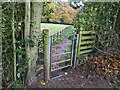 SJ3819 : Footpath gate by TCExplorer