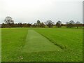 SE3237 : Cricket pitch on Soldiers' Field by Stephen Craven