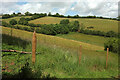 SX9268 : Combe above Blackaller's Cove by Derek Harper