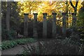 SE2754 : Doric columns in Harlow Carr by Bill Boaden