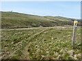  : The Southern Upland Way near Cold Moss by Dave Kelly