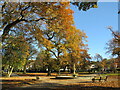 SZ0391 : Autumn colour on Ashley Cross Green, Lower Parkstone by Malc McDonald