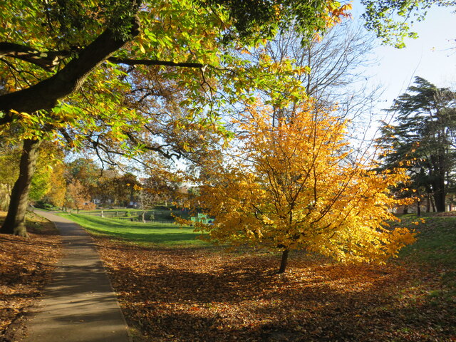 Autumn colour in Alexandra Park, Parkstone, Poole