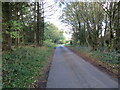 NT7569 : Woodlined minor road near Hoprigshiels Cottages by Peter Wood