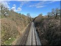 SJ3073 : Railway lines in cutting near Burton by Jonathan Hutchins