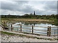 SJ8146 : Mine water treatment reed bed at Silverdale by Jonathan Hutchins