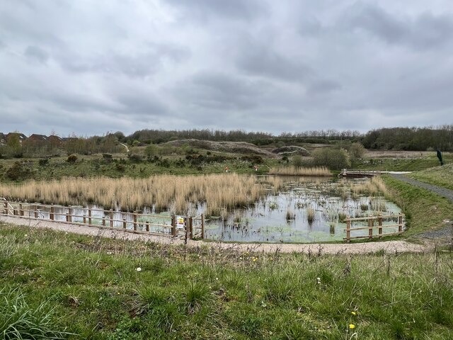 Mine water treatment reed bed at Silverdale