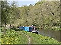 SJ9949 : Narrowboat on the Caldon Canal by Jonathan Hutchins