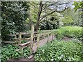 SJ7854 : Footbridge and stile over the Valley Brook by Jonathan Hutchins