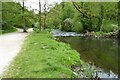 SK1452 : River Dove in Dovedale by Philip Halling