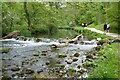 SK1452 : Weir on the River Dove by Philip Halling