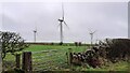 NY1738 : Gateway to field on SE side of A595 near wind farm opposite Wharrels Hill by Roger Templeman