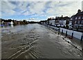 SO7875 : Flood barriers on Severn Side South, Bewdley by Mat Fascione