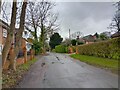 SU7674 : Mustard Lane, Sonning by Oscar Taylor