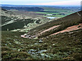 NS9434 : Red scree in Martingill Cleuch by wrobison