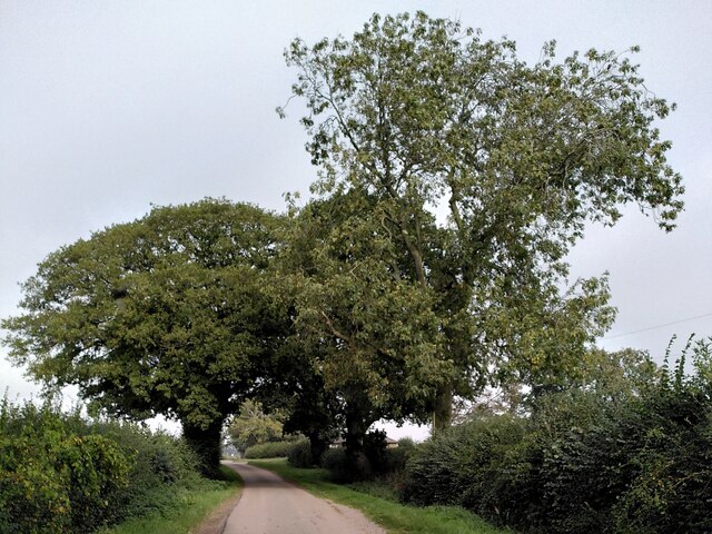 Hollis Lane, Kenilworth 