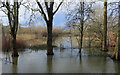 SU5992 : Flooded Land at Shillingford Bridge by Des Blenkinsopp