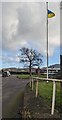 SO8008 : Ukrainian flag, Standish, Gloucestershire by Jaggery