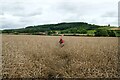 SO3388 : Footpath to Oakeley Farm by Jeff Buck