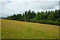 SO3488 : Footpath to Oakeley Wood by Jeff Buck