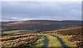 NY9941 : Hill walker along hill road below Bashaw Rigg by Trevor Littlewood