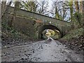 SJ4006 : Former railway bridge in Pontesbury by TCExplorer