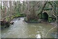 SJ4006 : Pontesford Brook by TCExplorer