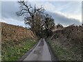 SJ4006 : Hinton Lane, Pontesbury by TCExplorer