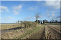  : Along Highden Lane by Des Blenkinsopp