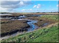 NZ5025 : Greatham Creek by Oliver Dixon