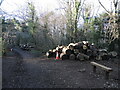 ST3262 : Logpiles on Worlebury Hill by Neil Owen