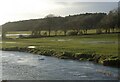 SS8877 : The Ewenny River and grazing land just upstream from Ogmore Castle by eswales