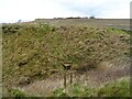 TA2369 : Abandoned steps and footpath over gully by JThomas